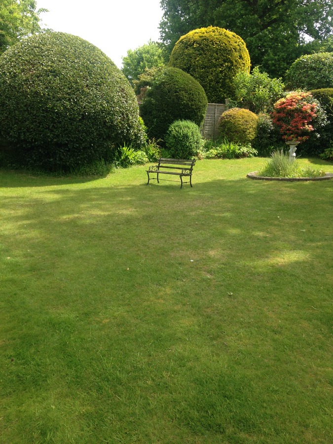 Garden Beds 7